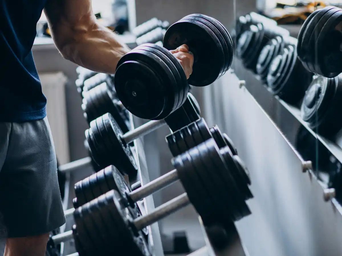 Musculation