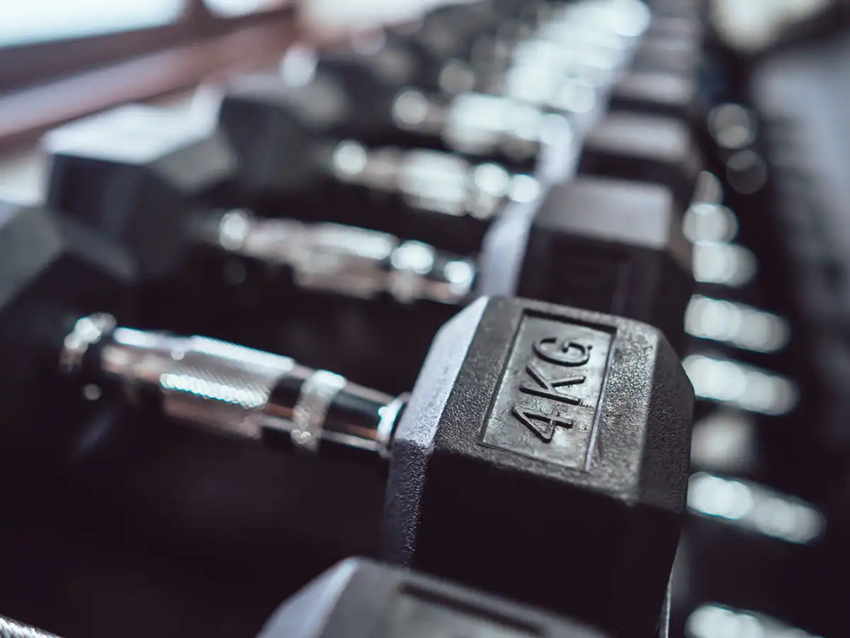 Musculation